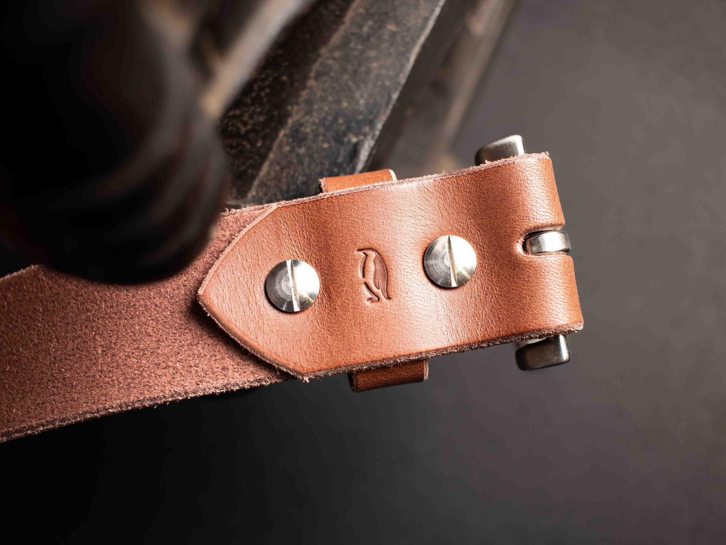 Ceinture en cuir de taureau Français, boucle en acier inoxydable - Marron