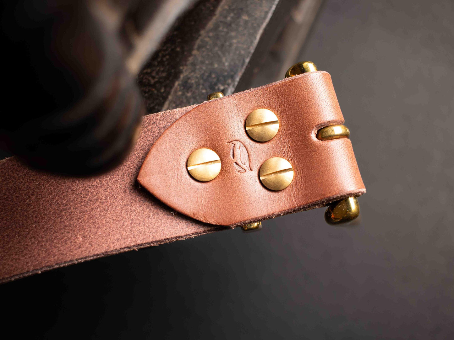 Ceinture en cuir de taureau Français, boucle et passant en laiton massif - Marron