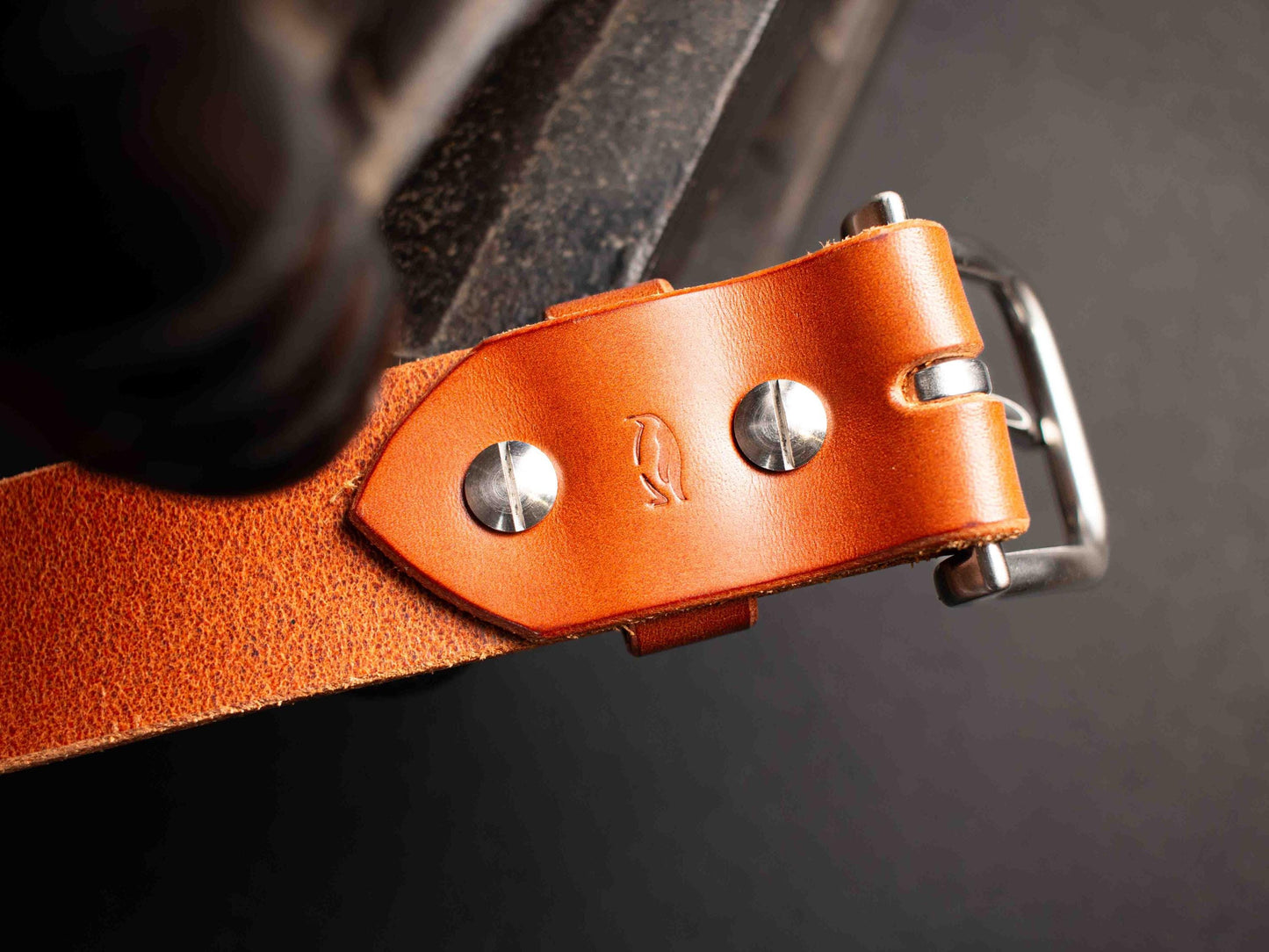 Ceinture en cuir de taureau Français, boucle en acier inoxydable - Marron fauve